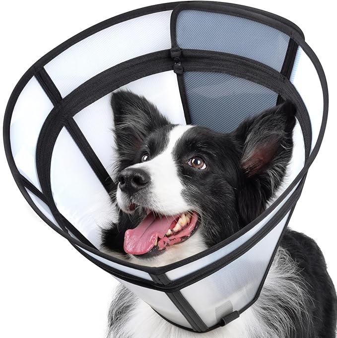 Dog Cone, Transparent Recovery Collar for Large Medium Small Pets, Adjustable Length, Soft Cone for Dogs to Stop Licking, Padded Elizabethan Collar with Elastic Loops After Surgery Patented