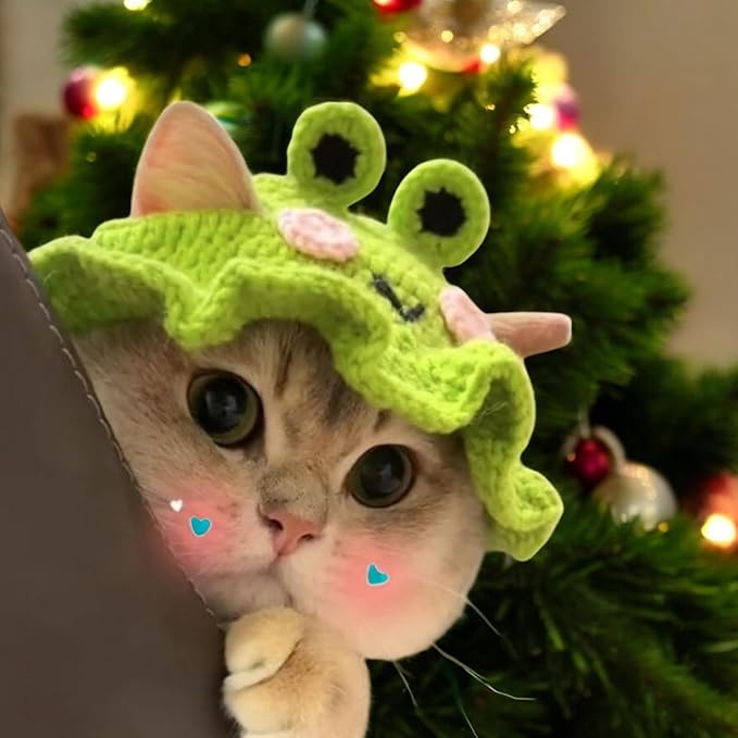 2Pcs Cute Knitted Rabbit Hat, Funny Bunny Hats for Pet Rabbits Large Guinea Pig Small Dog Cat Pet Bunny Costume for Birthday Party Christmas Halloween Easter Travel Accessories (Frog and Flower)