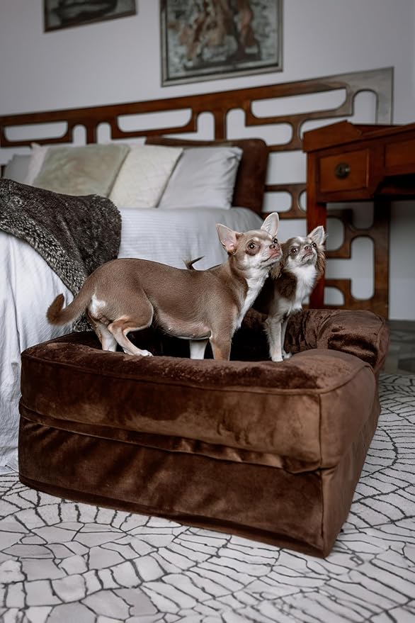 NOAH & PAW Dog Bed, 28x23x11 Inch, Orthopedic Dog Beds for Medium Size Pets, Eggshell Memory Foam Infused with Cooling Gel, Inner Cover, Waterproof, Machine Washable (Velvet Sofa Collection)