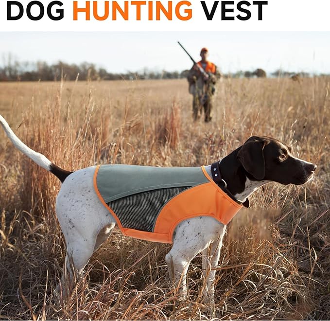 DORA BRIDAL Reflective Dog Vest for Small Dogs, Orange High Visibility Safety Pet Vest for Hunting, Walking at Night
