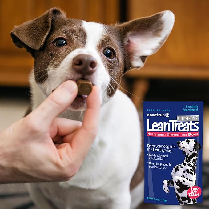 Nutrisential Lean Treats for Dogs - Small, Medium & Large Dogs (K9) - Nutritional Low Fat, Bite-Size - Soft Chicken Flavor - Chicken Flavor - 3 Pack - 4oz