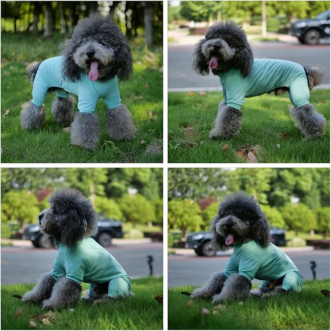 LoveLongLong Dog Jumpsuit with UV Protection and Quick-Dry Fabric for Spring Summer Pet Pajamas Turquoise M