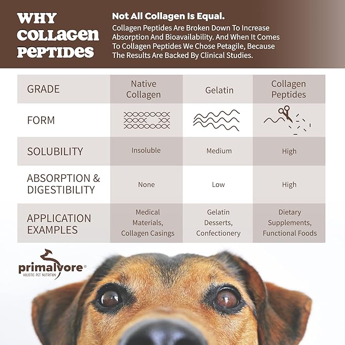 Primalvore Grass-Fed Beef Bone Broth for Dogs &Cats, Mobility Formula w/Collagen Peptides to Help Support Hip & Joints, Digestion, Skin & Coat and Hydration, Human Grade, Made in USA. Beef 6 Pack
