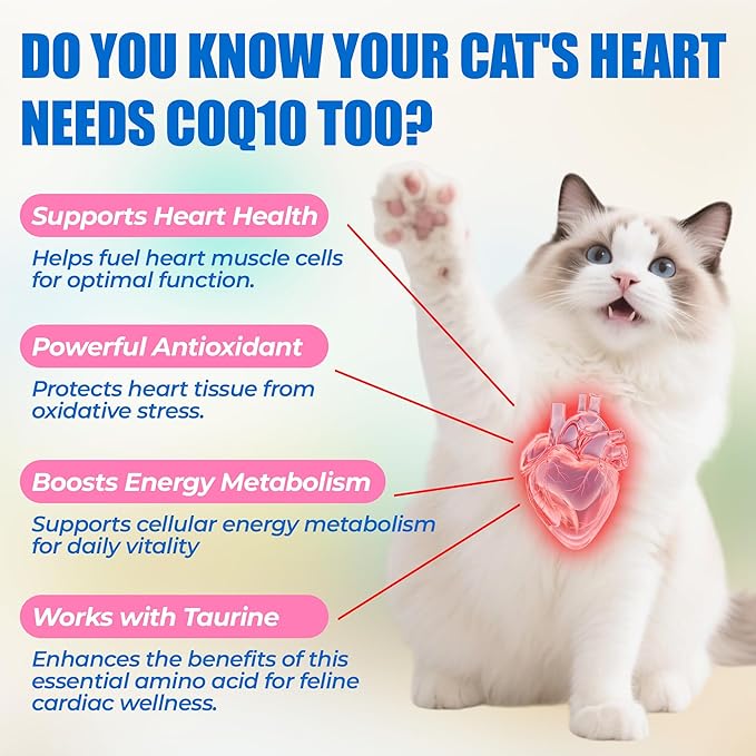 Just Try Coenzyme Q10 coq10 Bites for Cats - Advanced q10 & Taurine Cat Treats for Feline Heart Health - Chicken Flavored Soft Chews - Supports Heart Function - 300 Count