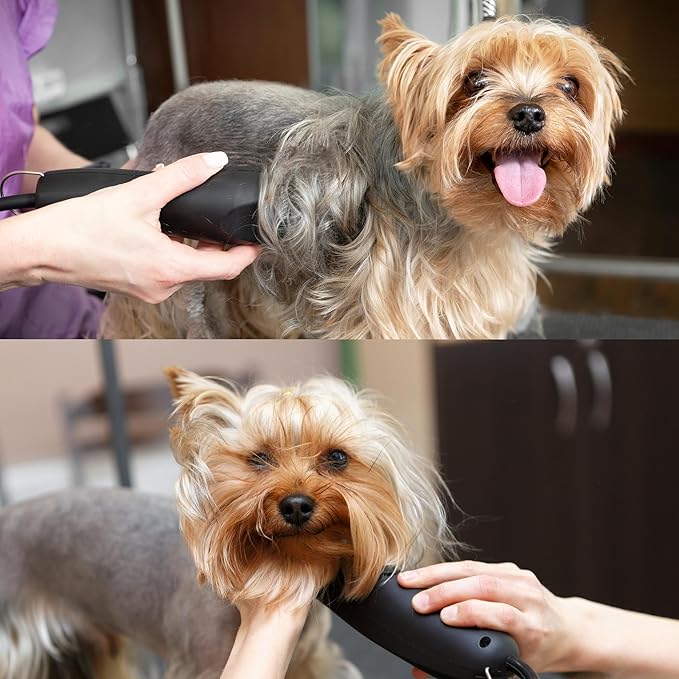 Detachable A Series Wide 9f Blade for Dog Grooming Cut Length 5/64" - 2.0mm Japanese Carbonized Steel Wide Blades for Dog Grooming Compatible A5 Series Clippers for Dogs Cat(9FW)