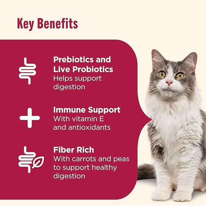 Nutrish Everyday Digestion Dry Cat Food, Chicken Brown Rice and Salmon Recipe with Peas and Carrots, 3 lb. Bag, 4 Count, (Rachael Ray)