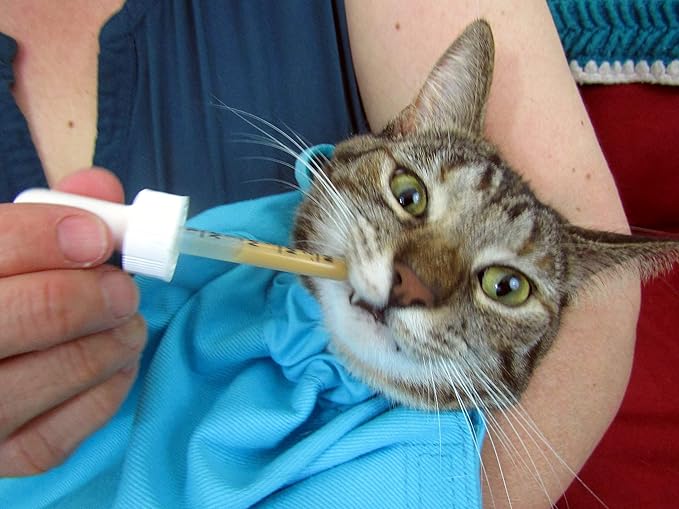 Cat-in-the-Bag Cozy Comfort Carrier - Large Green Cat Carrier, Cat Holder for Cutting Nails, & Cat Carrier Pouch for Vet Visits, Medication Administration, Dental Care, & Travel