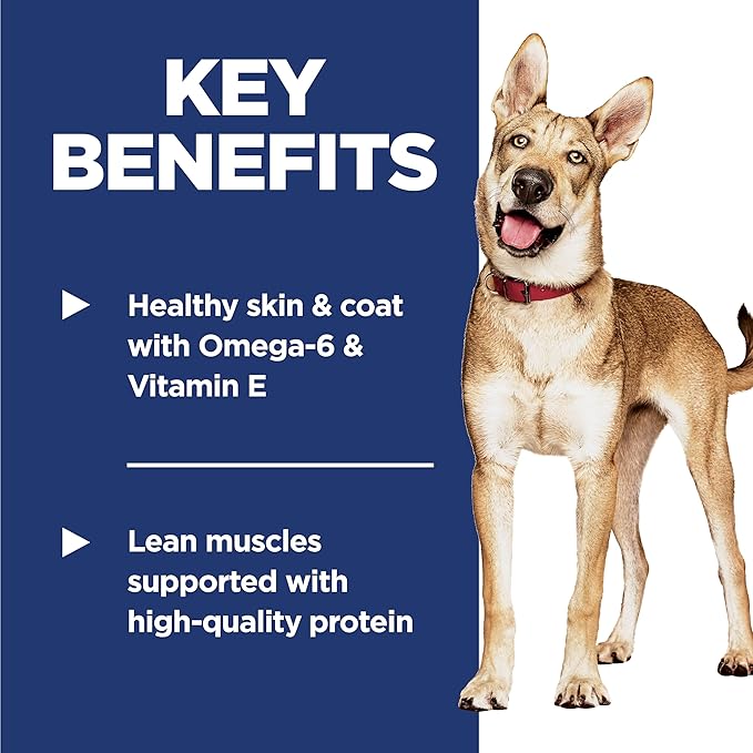 Hill's Science Diet Adult 1-6, Adult 1-6 Premium Nutrition, Dry Dog Food, Salmon & Brown Rice, 33 lb Bag