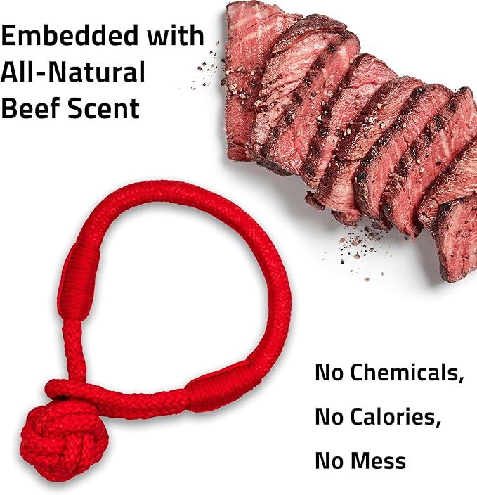 Playology Dog Toys | Puppy Toy Tough Tug Knot for Tug of War Designed for Young & Active Dogs | Medium Beef Scented Toy Made from Non Toxic Materials