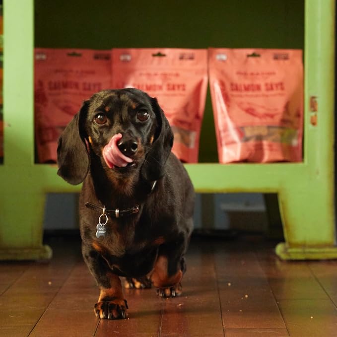 Polkadog Salmon Says Bone Shaped Treats - Omega-3 Rich, Low Fat Healthy Dog Treat - Digestible, Vitamin & Mineral Packed Dog Snacks - Crunchy 3-Ingredient Treat, Ideal for Dogs with Allergies - 7 oz