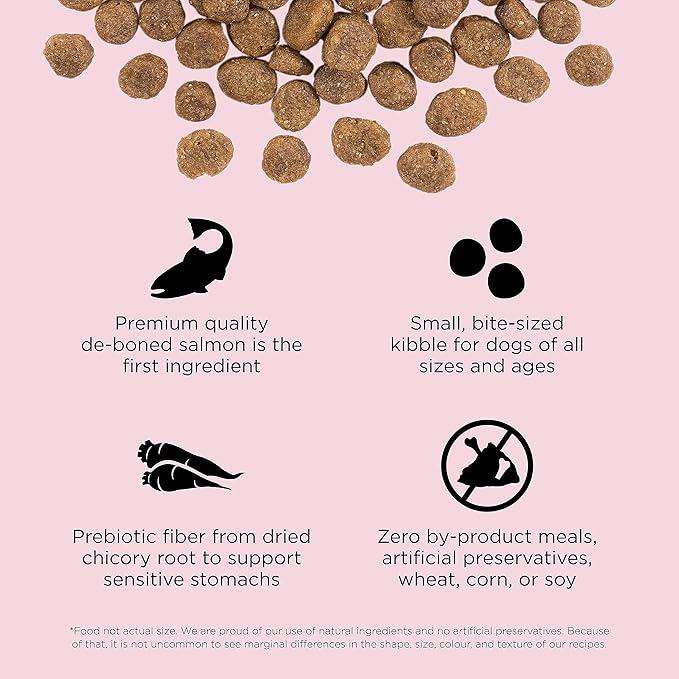 Go! Solutions Sensitivities Limited Ingredients, Grain-Free Dry Dog Food, Small Bites Salmon Recipe for Sensitive Stomach, 6 lb Bag