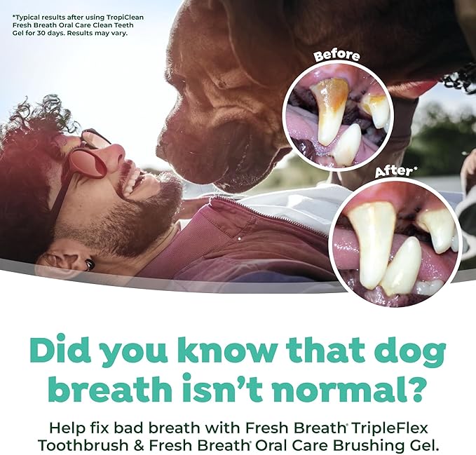 TropiClean Fresh Breath TripleFlex Toothbrush for Large Dogs | Use with TropiClean Toothpaste or Gel | 360-Degree Toothbrush | Complete Dental Care