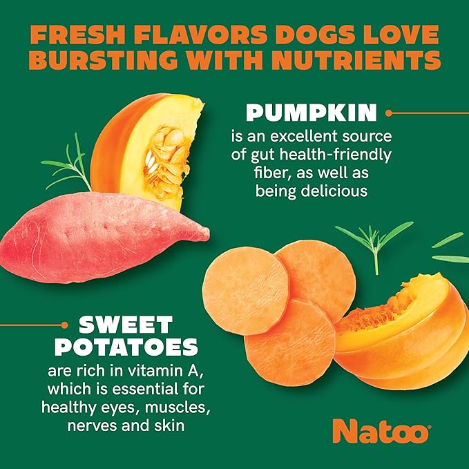 NATOO Biscuits for Small Dogs & Puppies Crunchy Dog Treats, Sweet Potato & Pumpkin Healthy Natural Canine Biscuits, Rich in Omega 6, Prebiotics & Fibers, Antioxidants for Immunity (8 oz)