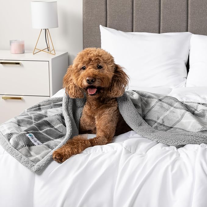 PetAmi Waterproof Dog Blanket for Medium Large Dog Puppy Cat Throw for Couch Cover Leakproof Protection, Sherpa Fleece, Reversible Soft Washable 60x40 Plaid Light Gray