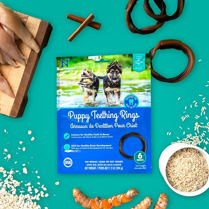 N-Bone Puppy Teething Rings Salmon Flavor Dog Treat, 6 Count Bag, 7.2-oz