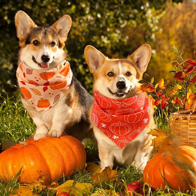 Abbylike 50 Pcs Fall Thanksgiving Dog Bandana Bulk Pumpkin Bandana for Dogs Triangle Kerchief Bib Scarf for Pets Autumn Costume Photo Props Accessories Pet Shops, 25 Styles (25.6 x 17.7 x 17.7)