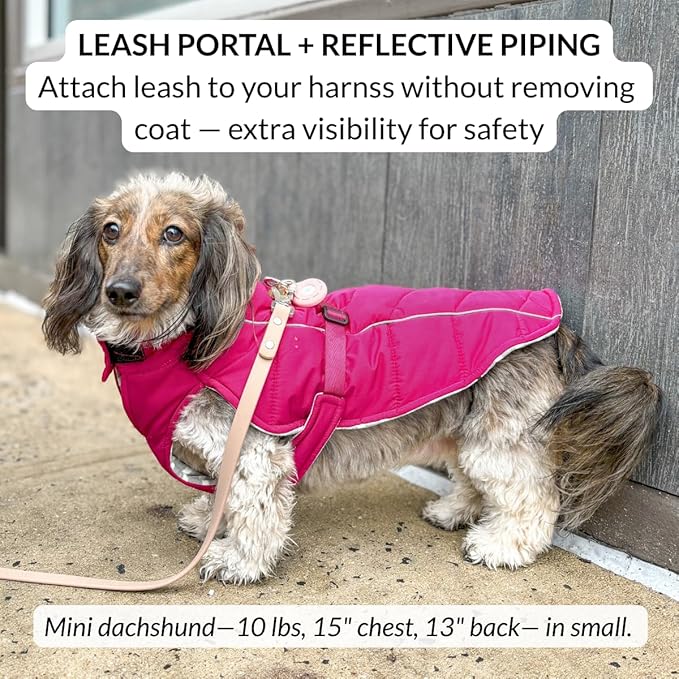 DJANGO Insulated Puffer Dog Jacket with Harness Hole – Warm, Water-Repellent Winter Dog Coat Small Dogs, Dachshunds, Puppies – Adjustable, Reflective Cold Weather Dog Apparel – Hibiscus Pink, Small