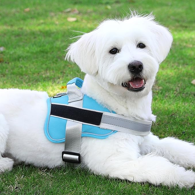 Bolux Dog Harness, No-Pull Reflective Dog Vest, Breathable Adjustable Pet Harness with Handle for Outdoor Walking - No More Pulling, Tugging or Choking (OceanicBlue, Medium (Pack of 1))