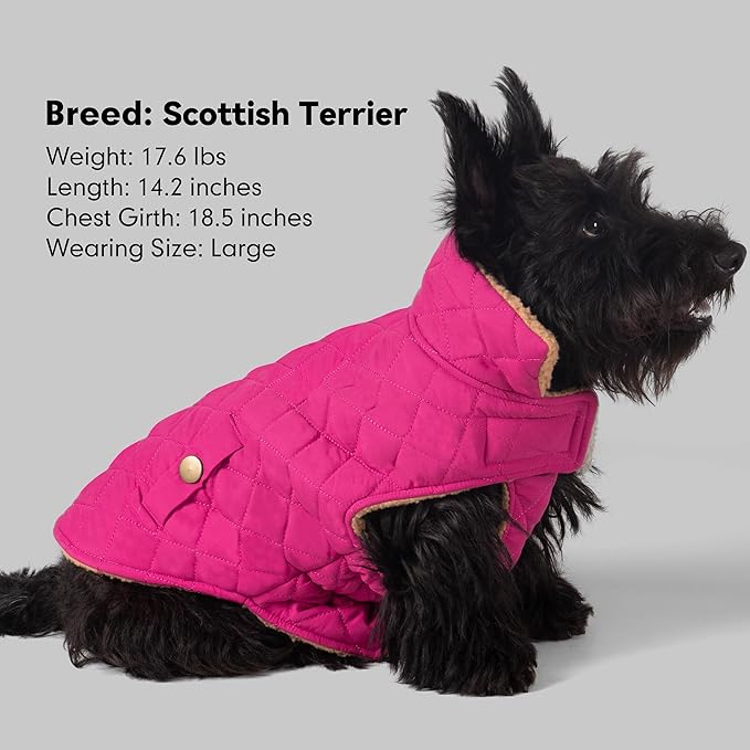 azuza Dog Jacket Waterproof & Windproof Dog Coat for Small Dogs with Thick Fleece, High Collar with Leash Hole, Adjustable Velcro & Elastic Belly, Rose Red XL