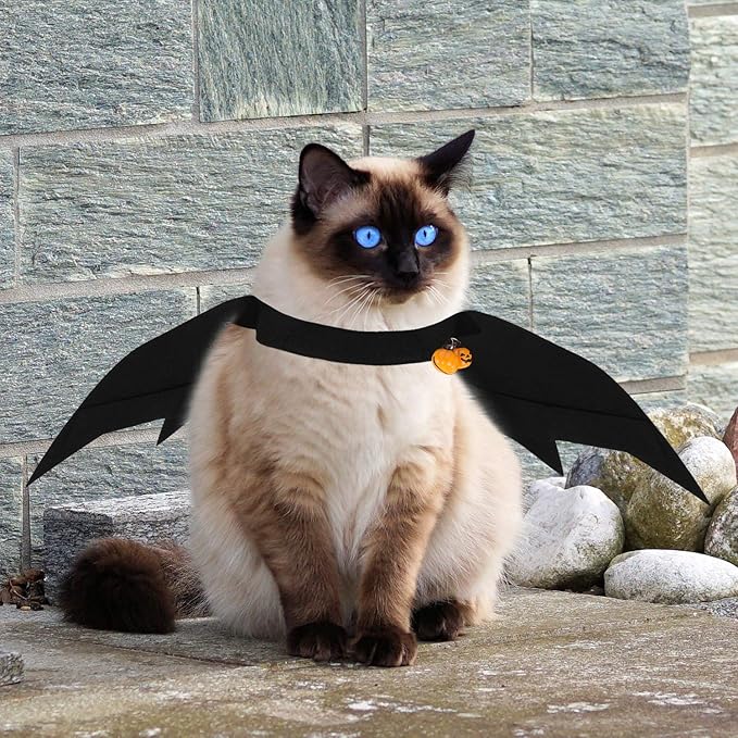 Boao 4 Pcs Halloween Cat Costume Pet Bat Wings with Pumpkin Bells Accessory Puppy and Cat Halloween Cute Dress up Accessories