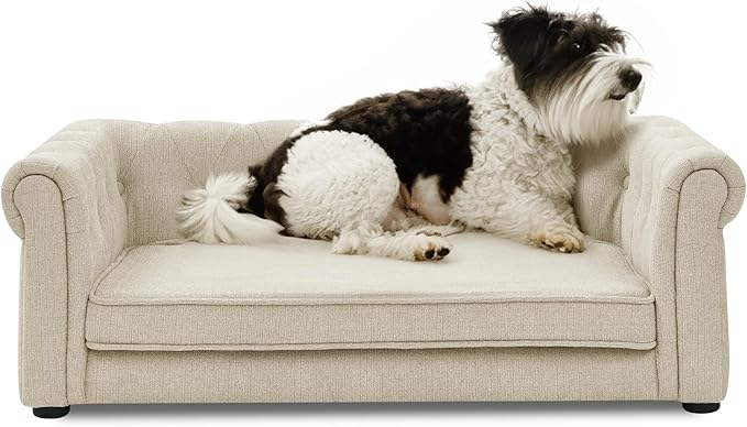 Dog Sofa Couch for Medium Dogs, 31" Memory Foam Dog Couch with Washable Fabric, Removable Cushion, Sofa Bed for Medium Dogs, Beige
