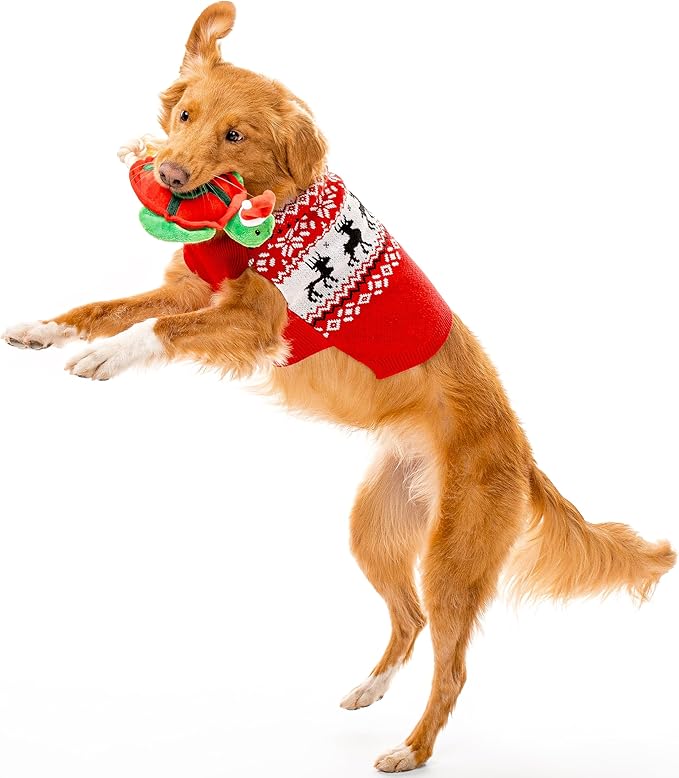 Dog Toys | Holiday Plush Toy Turtle Stuffed Animal for Dogs | Medium Eco Friendly Toy - Easy to Clean and Made from Non Toxic Materials