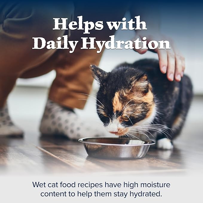 Blue Buffalo Wilderness High Protein Grain Free, Natural Mature Pate Wet Cat Food, Chicken 5.5-oz cans (Pack of 24)