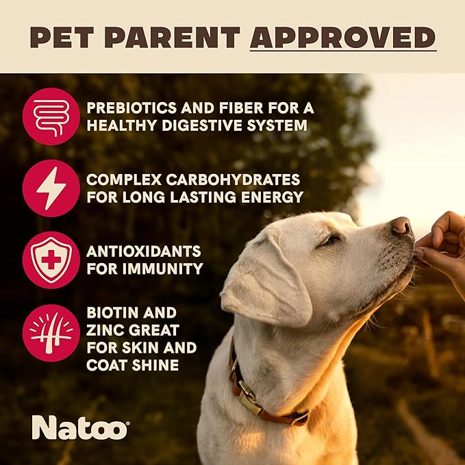 NATOO Biscuits for Small Dogs & Puppies Crunchy Dog Treats, Oats & Berry Healthy Natural Canine Biscuits, Rich in Omega 6, Prebiotics & Fibers, Antioxidants for Immunity (8 oz)