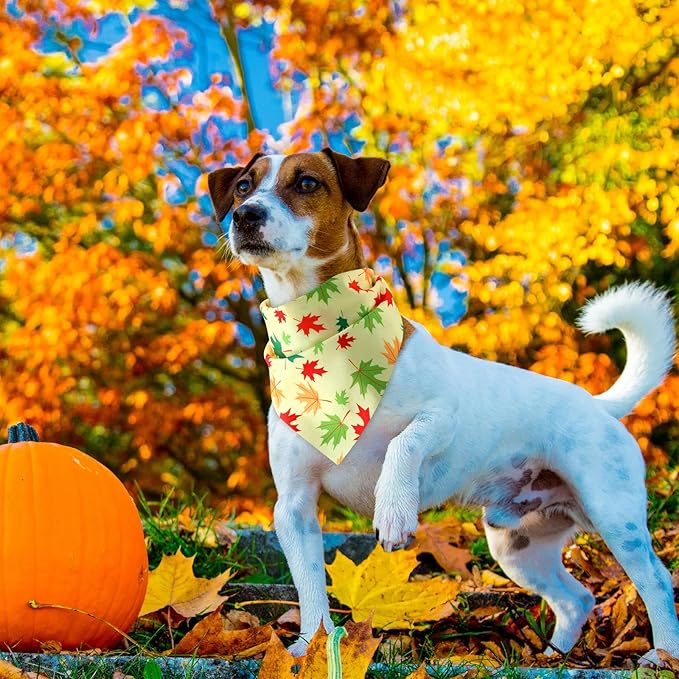 Weewooday 50 Pcs Thanksgiving Fall Dog Bandanas Bulk Pumpkin Maple Leaves Autumn Bandanas for Bibs Adjustable Scarf for Small Medium Large Pet Cat Costume(Leaves Pattern, 19.7 x 13.8 x 13.8 Inch)