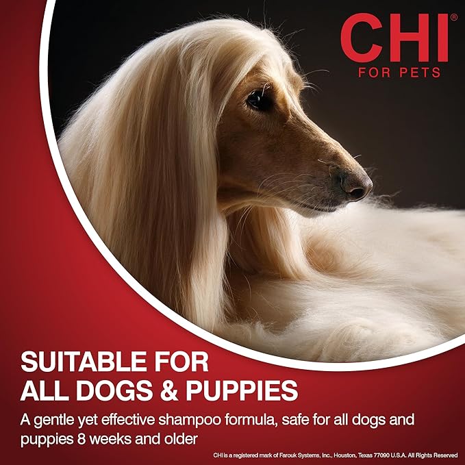 CHI for Dogs Oatmeal Conditioner - Professional Dog Grooming Formula for Sensitive Skin and Dry Coats - Moisturizing Gallon Size Wash for All Hair Types and Breeds, 128 Fl Oz