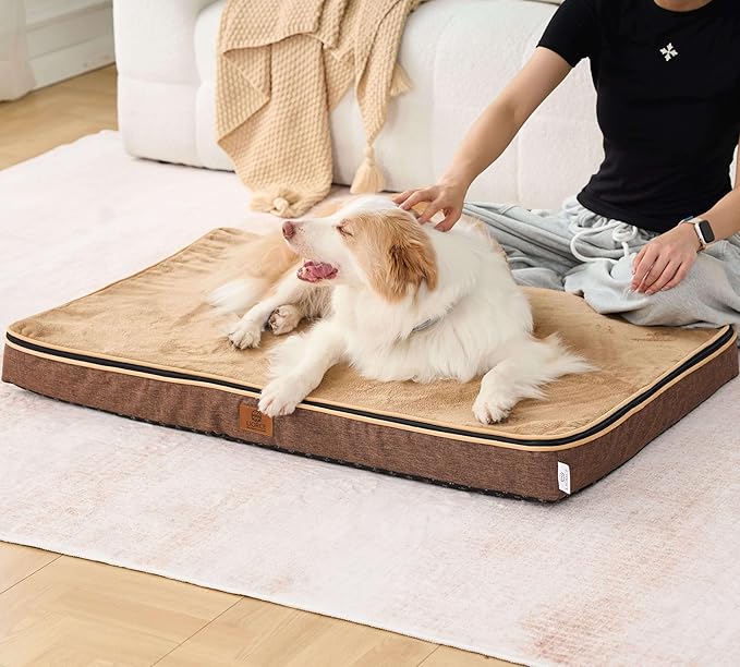 Memory Foam XL Dog Bed - 4” Thick Orthopedic Beds for Extra Large Dogs - Waterproof Dog Bed with Removable Washable Cover & Wrap-Around Zipper - Ultimate Comfort and Easy Maintenance