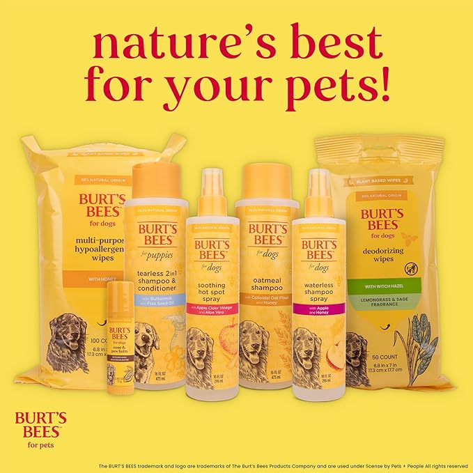 Burt's Bees for Pets Deodorizing Dog Wipes with Witch Hazel, Lemongrass and Sage Fragrance, 98% Natural Origin Formulas, Dog Wipes Cleaning and Deodorizing, 100ct