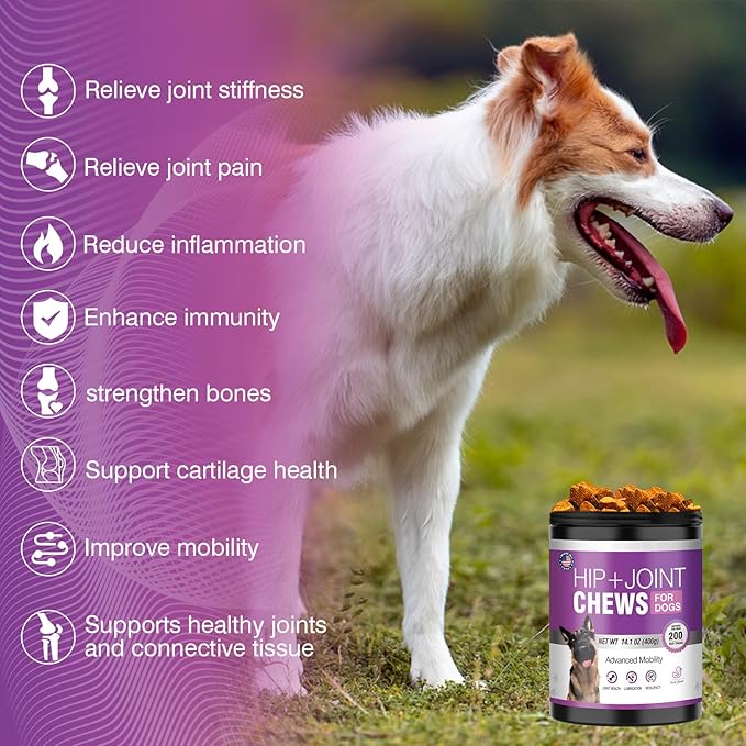 Glucosamine for Dogs 200pcs Joint Support Supplement Dog Hip and Joint Chondroitin Chews Treats with MSM Hemp Dog Joint Pain Relief Mobility Supplements Duck Flavor Fit All Large Small Medium Breed