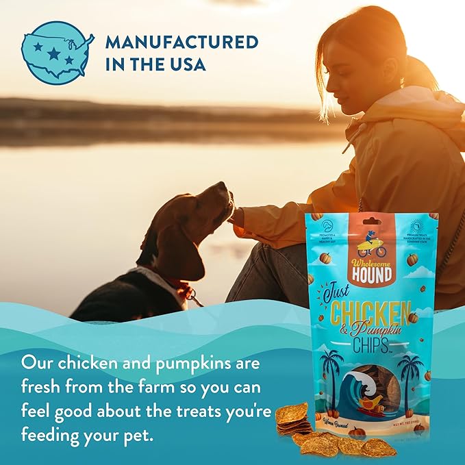 Functional Just Chicken & Pumpkin Chips | Two Premium Ingredient & Healthy Chicken Chips | All Natural Dog Treats | Dog Training Treats | Supports Digestion | Made in USA - 7oz