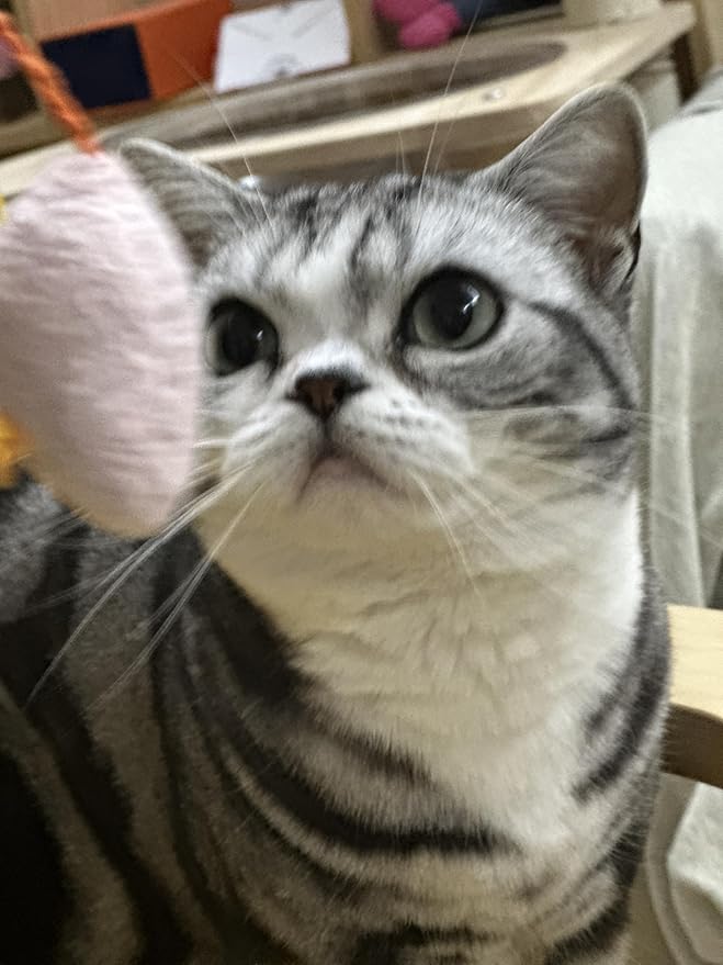 Durable Chew-Resistant Realistic Plush Mice Cat Teething Toys, Long-Lasting Interactive Kitten Toys