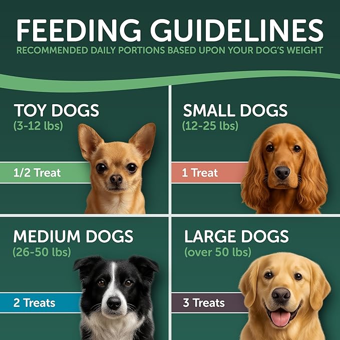 HEALTHFULS Deli Sticks Pork and Chicken Human-Grade Gluten-Free Soft and Chewy Dog Treats, 10 Count Bag