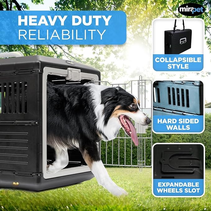 USA Pet Carrier & Crate 35" - Premium Collapsible Design for Medium Cats and Dogs - Portable Kennel for Indoor/Outdoor - 360° Ventilation & Hard Plastic Wall Protection (Gray Handle, Large)