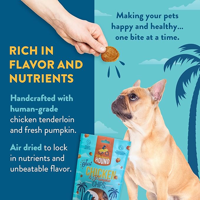Just Chicken & Pumpkin Chips | Two Premium Ingredient & Healthy Dog Treats | All Natural Canine Rewards | Dog Training Treats for Small, Medium, and Large Breeds | Made in USA - 3oz