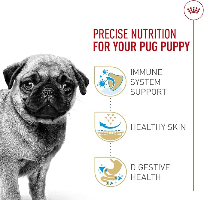 Royal Canin Breed Health Nutrition Pug Puppy Dry Dog Food, 2.5 lb Bag