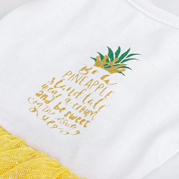 Dog Dress for Spring Summer, Small Dogs Girl Skirt Female Puppy Dresses Pet Yorkie Chihuahua Tulle Dress,Birthday Party Lace Costume Tutu Apparel