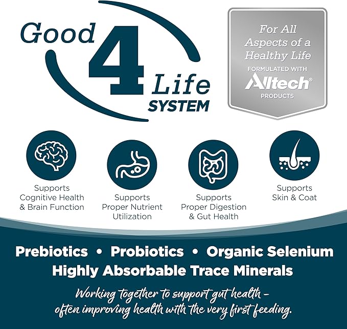 NutriSource Adult Dry Dog Food, Small Bites, Chicken and Rice, 4LB