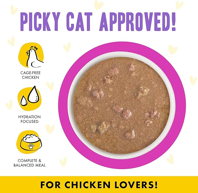 Weruva B.F.F. OMG - Best Feline Friend Oh My Gravy!, Chicken & Duck Dream Team with Chicken & Duck in Gravy, 2.8oz Can (Pack of 12)