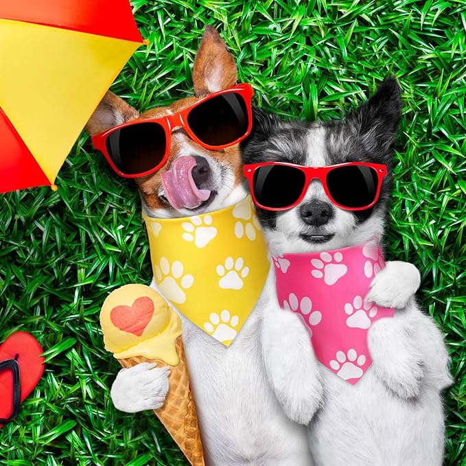 Sanwuta 60 Pcs Paw Print Dog Bandanas Bulk Colorful Footprint Bandanas for Dogs Triangle Kerchief Bib Scarf for Pet Birthday Party Costume Photo Props Daily Accessories Pet Shops Groomers, 6 Colors