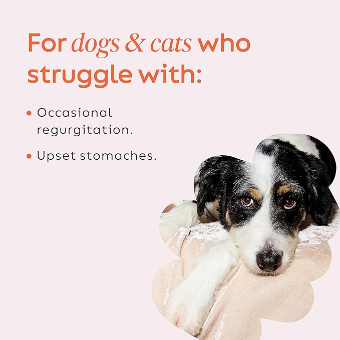 Super Snouts Pumpkin Latte Digestive Supplement for Dogs & Cats, Pumpkin Powder with Goat’s Milk, Made in USA Antibiotic Free, Healthy Gut & Stool, 10 oz