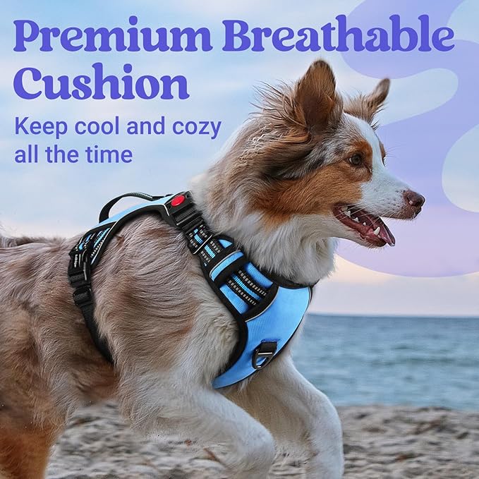 rabbitgoo Dog Harness for Large Dogs, No Pull Pet Harness with Soft Padded Handle, Adjustable Reflective Vest with 3 Buckles, Easy Walking Harness with 2 Leash Clips, Light Blue, XL