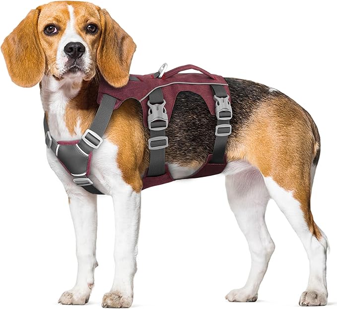 Escape Proof Dog Harness Small Sized Dog, Reflective No Pull Dog Vest with Handle, Lightweight Full Body Pet Harness Adjustable for Walking,Training(Blue,Chest:16-27")