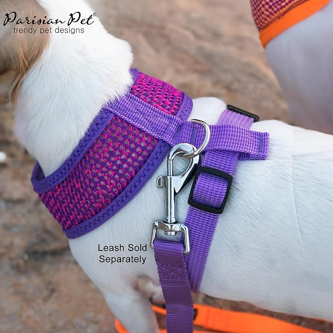 Parisian Pet Girl Dog Harness - Soft Padded Purple/Pink Dog Vest Harness - 100% Mesh Fabric Puppy Harness - Female Cooling Dog Harness for Large Dogs - Idle for Walking, Running, and Hiking - XL