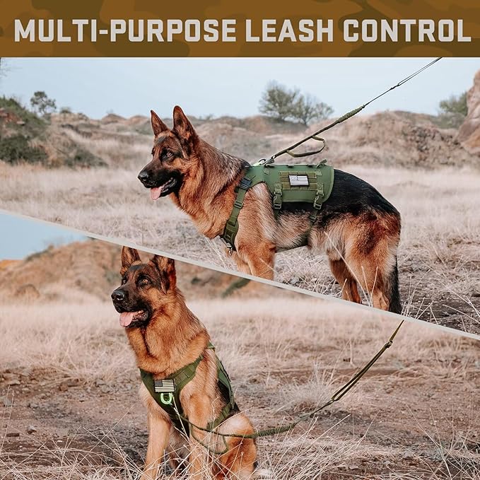 Forestpaw Tactical Dog Harness for Large Dogs,Tactical Dog Collar with Bungee Leash Set,No Pull Military Dog Harness for Walking Training,Adjustable for Medium Large Dogs,Green,Chest 15.5-25.5"