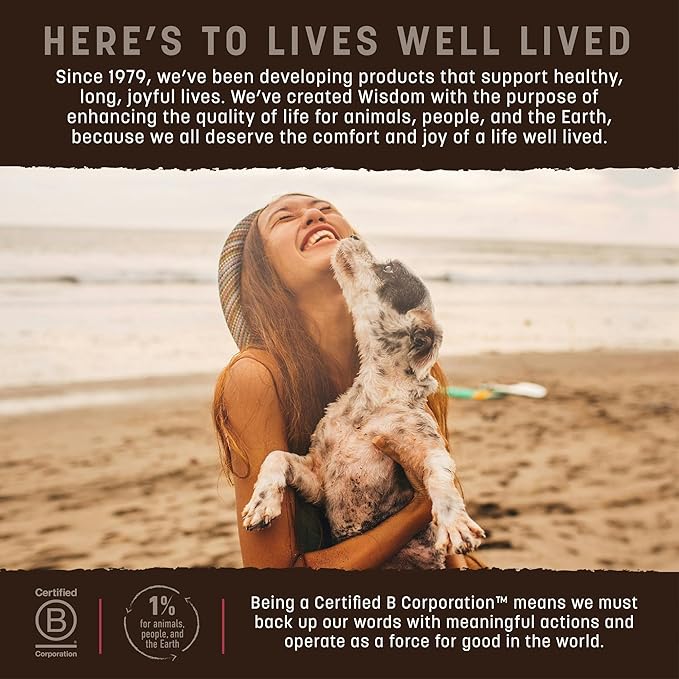 Earth Animal Wisdom Air-Dried Jerky From the Land Recipe | Dog Treats | Dog Snacks | Premium Natural Red Meat Jerky Strips | 4 oz | Made in the USA (Pack of 1)