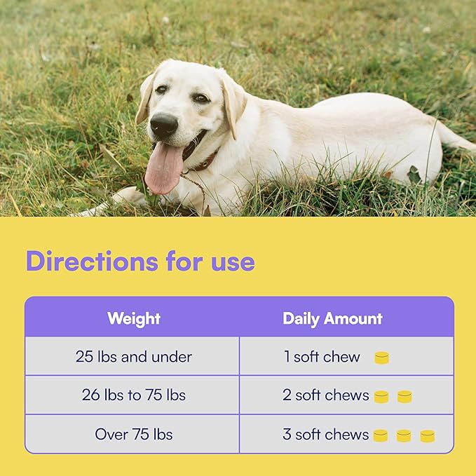 Advanced Hip & Joint Supplement for Dogs - 90 Soft Chews with Glucosamine, MSM, Chondroitin & Multivitamins - Helps Mobility, Flexibility & Arthritis Relief - Made with Pasture-Raised Chicken